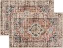 2 Pcs Washable Indoor Doormat 24" x 36" Non Slip Retro Floor Mat Area Rug Absorbent Entrance Rug Distressed, Accent Throw Rug for Bedroom Kitchen Entryway Bathroom (Terracotta, 24" x 36")